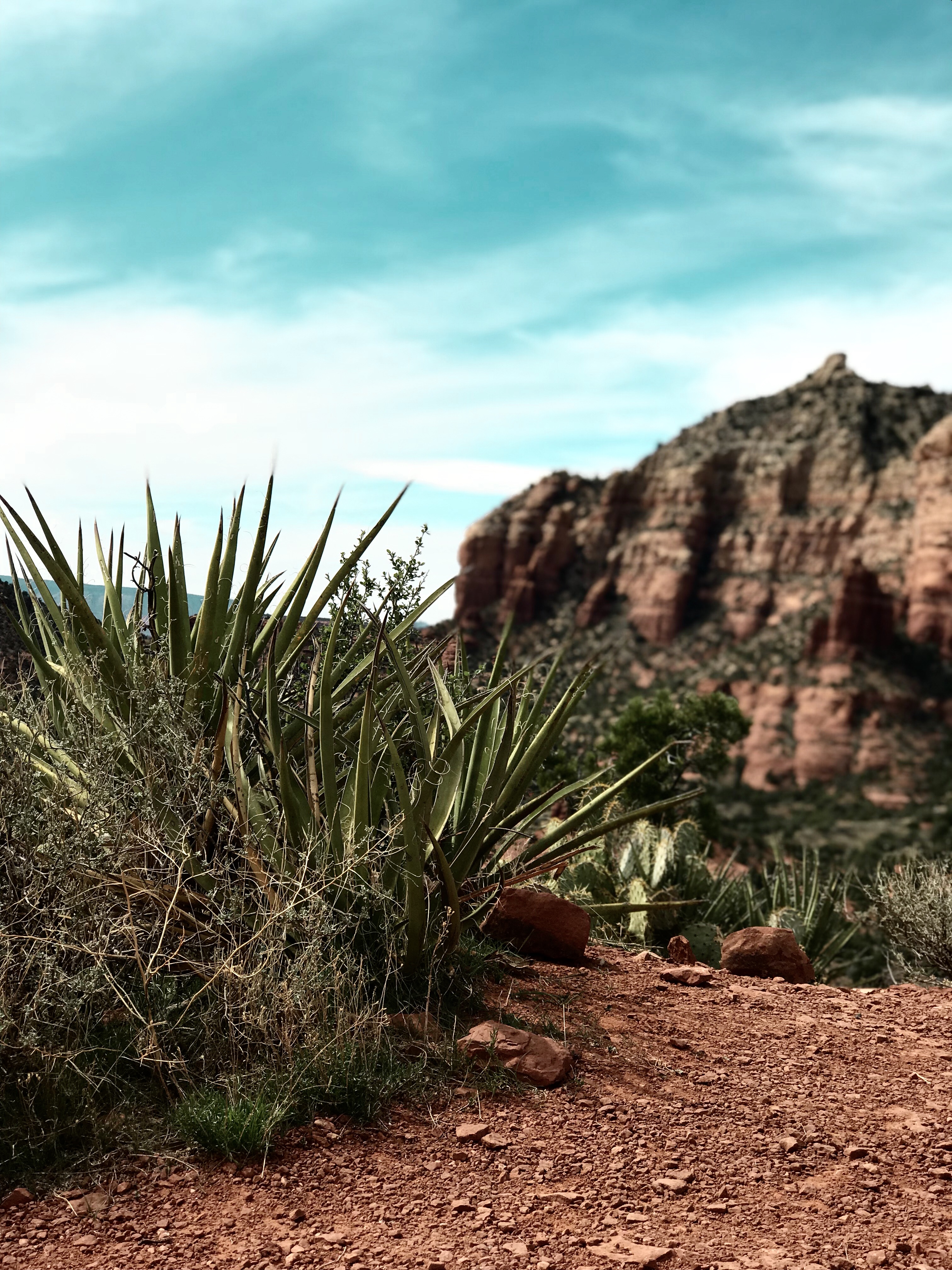 933361C2-4049-4F18-B47D-096A87039CD0