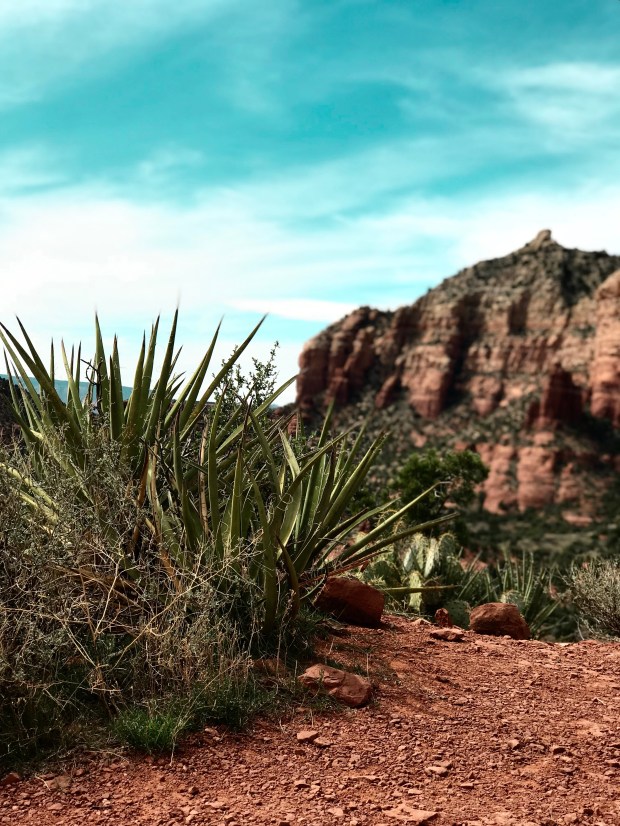 933361C2-4049-4F18-B47D-096A87039CD0